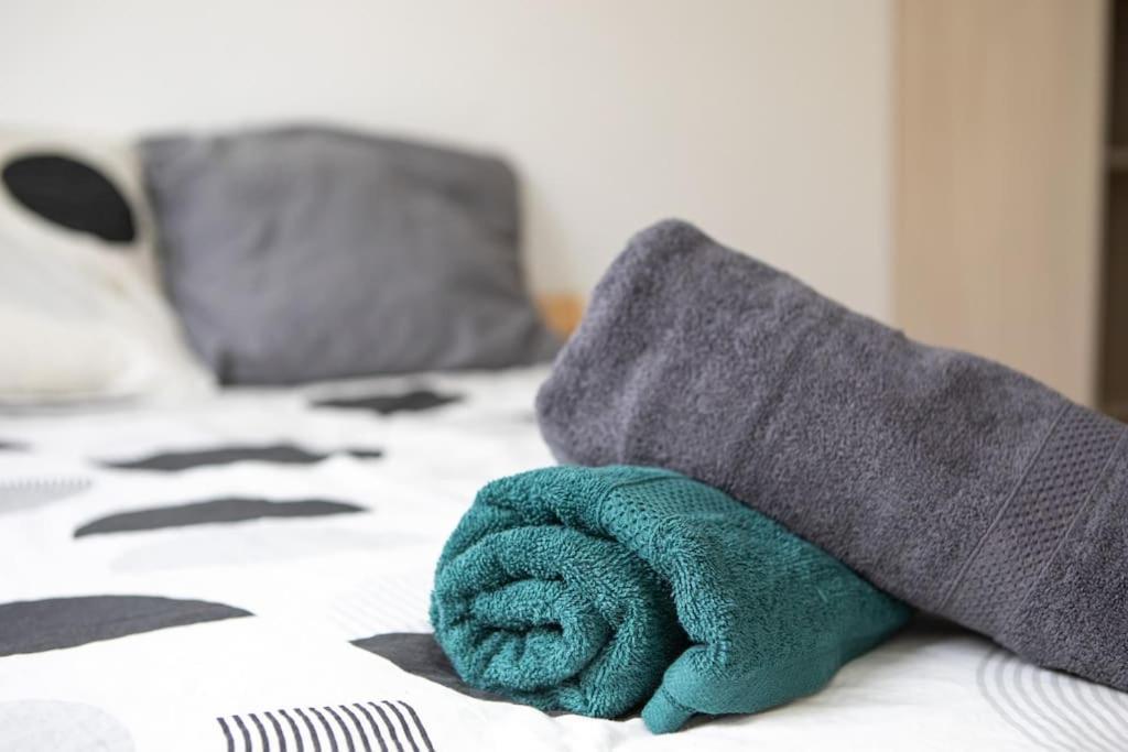 Suite Lumineux Et Moderne, Parking Gratuit, Mulhouse Centre Εξωτερικό φωτογραφία